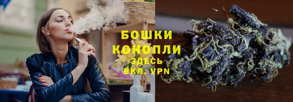 СК Балахна