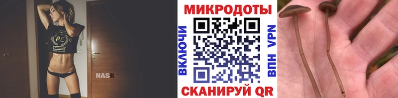 Купить закладки  Бор  Псилоцибиновые грибы MAGIC MUSHROOMS 
